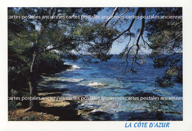 Cartes postales anciennes > CARTES POSTALES > carte postale ancienne > cartes-postales-ancienne.com Provence alpes cote d'azur Hyeres