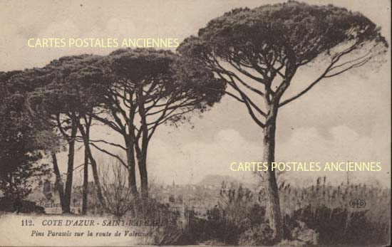 Cartes postales anciennes > CARTES POSTALES > carte postale ancienne > cartes-postales-ancienne.com Provence alpes cote d'azur Saint Raphael