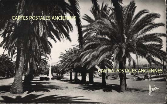 Cartes postales anciennes > CARTES POSTALES > carte postale ancienne > cartes-postales-ancienne.com Provence alpes cote d'azur Bandol
