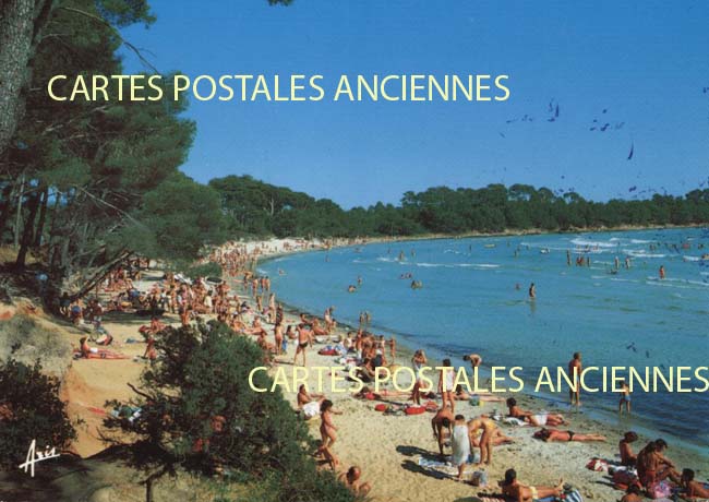 Cartes postales anciennes > CARTES POSTALES > carte postale ancienne > cartes-postales-ancienne.com Provence alpes cote d'azur Var Bormes Les Mimosas