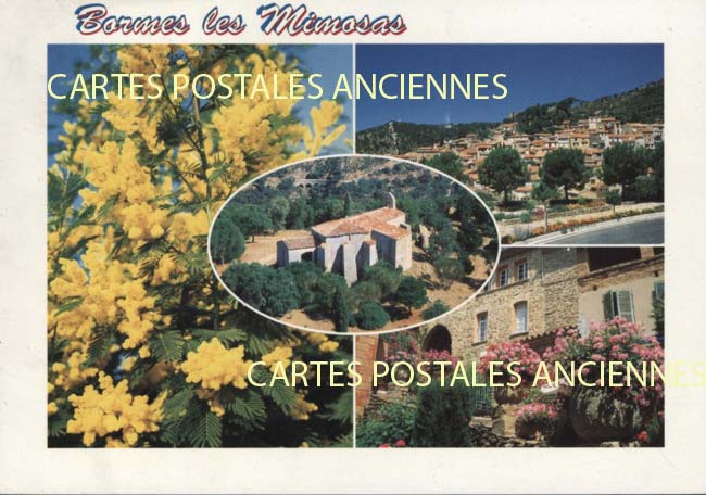 Cartes postales anciennes > CARTES POSTALES > carte postale ancienne > cartes-postales-ancienne.com Provence alpes cote d'azur Var Bormes Les Mimosas