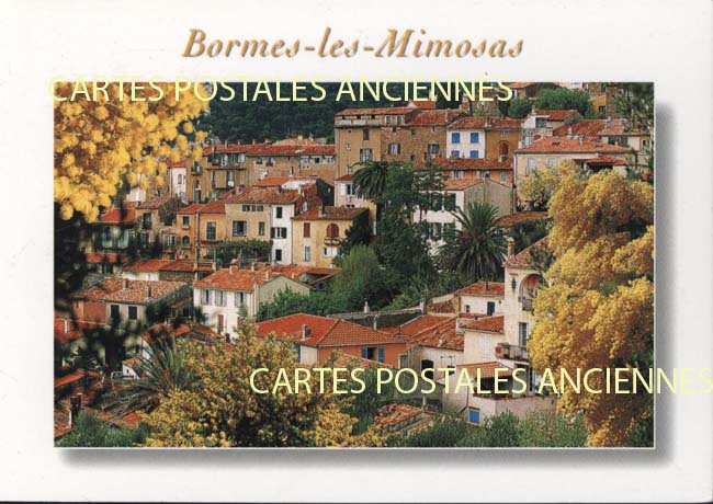 Cartes postales anciennes > CARTES POSTALES > carte postale ancienne > cartes-postales-ancienne.com Provence alpes cote d'azur Var Bormes Les Mimosas