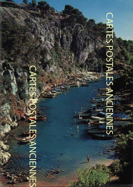 Cartes postales anciennes > CARTES POSTALES > carte postale ancienne > cartes-postales-ancienne.com Provence alpes cote d'azur Bormes Les Mimosas