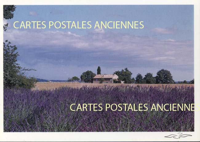 Cartes postales anciennes > CARTES POSTALES > carte postale ancienne > cartes-postales-ancienne.com Provence alpes cote d'azur Hyeres
