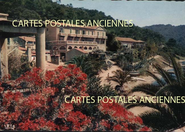 Cartes postales anciennes > CARTES POSTALES > carte postale ancienne > cartes-postales-ancienne.com Provence alpes cote d'azur Var Ile De Port Cros