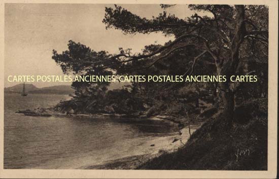 Cartes postales anciennes > CARTES POSTALES > carte postale ancienne > cartes-postales-ancienne.com Provence alpes cote d'azur Porquerolles