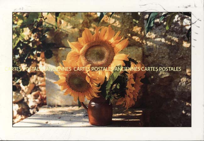 Cartes postales anciennes > CARTES POSTALES > carte postale ancienne > cartes-postales-ancienne.com Provence alpes cote d'azur La Seyne Sur Mer