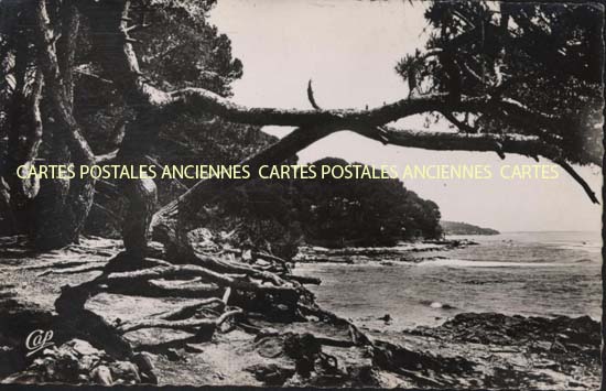 Cartes postales anciennes > CARTES POSTALES > carte postale ancienne > cartes-postales-ancienne.com Provence alpes cote d'azur Carqueiranne