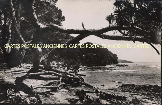 Cartes postales anciennes > CARTES POSTALES > carte postale ancienne > cartes-postales-ancienne.com Provence alpes cote d'azur Var Carqueiranne