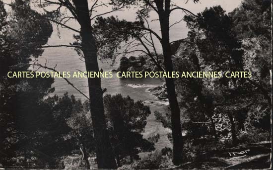 Cartes postales anciennes > CARTES POSTALES > carte postale ancienne > cartes-postales-ancienne.com Provence alpes cote d'azur Porquerolles