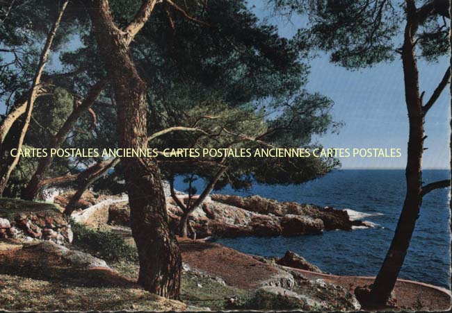 Cartes postales anciennes > CARTES POSTALES > carte postale ancienne > cartes-postales-ancienne.com Provence alpes cote d'azur Cavalaire Sur Mer