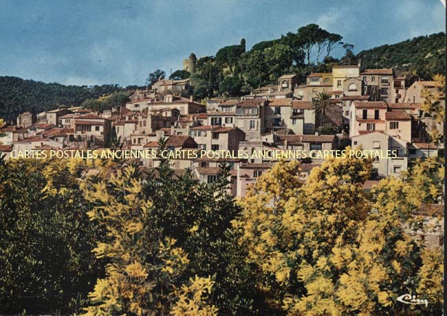 Cartes postales anciennes > CARTES POSTALES > carte postale ancienne > cartes-postales-ancienne.com Provence alpes cote d'azur Var Bormes Les Mimosas