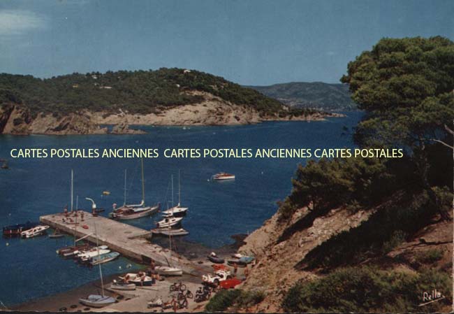Cartes postales anciennes > CARTES POSTALES > carte postale ancienne > cartes-postales-ancienne.com Provence alpes cote d'azur Var Bormes Les Mimosas