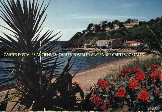 Cartes postales anciennes > CARTES POSTALES > carte postale ancienne > cartes-postales-ancienne.com Provence alpes cote d'azur Var Ile De Port Cros