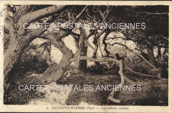 Cartes postales anciennes > CARTES POSTALES > carte postale ancienne > cartes-postales-ancienne.com Provence alpes cote d'azur Var La Capte