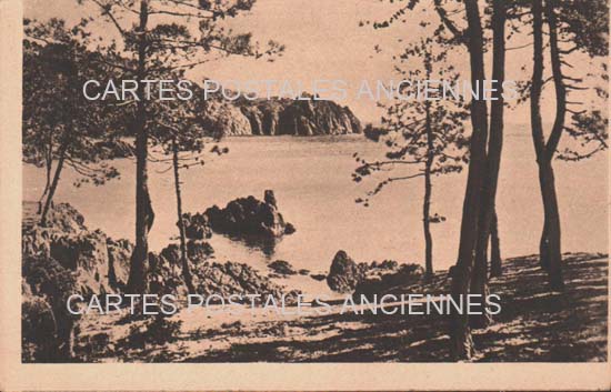 Cartes postales anciennes > CARTES POSTALES > carte postale ancienne > cartes-postales-ancienne.com Provence alpes cote d'azur Var Les Adrets De L Esterel