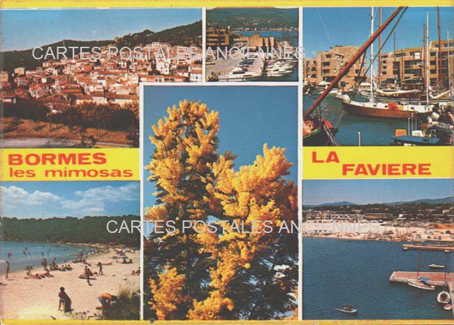 Cartes postales anciennes > CARTES POSTALES > carte postale ancienne > cartes-postales-ancienne.com Provence alpes cote d'azur Var Bormes Les Mimosas