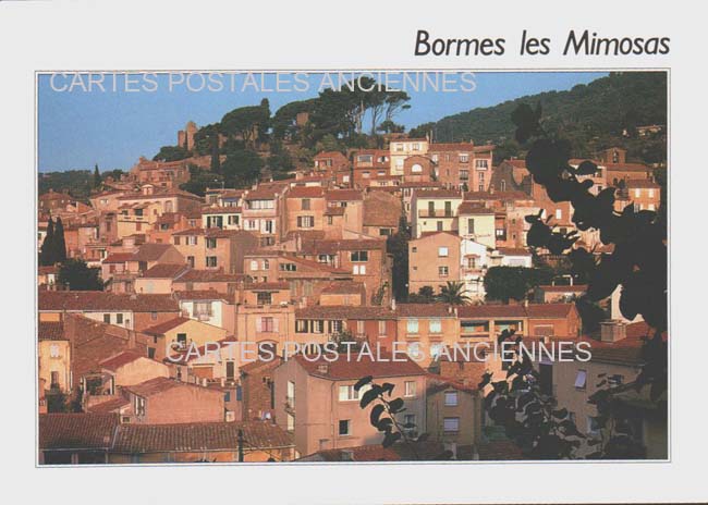 Cartes postales anciennes > CARTES POSTALES > carte postale ancienne > cartes-postales-ancienne.com Provence alpes cote d'azur Var Bormes Les Mimosas
