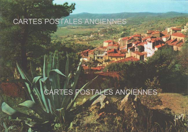 Cartes postales anciennes > CARTES POSTALES > carte postale ancienne > cartes-postales-ancienne.com Provence alpes cote d'azur Var Bormes Les Mimosas