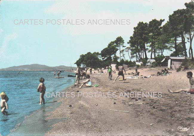 Cartes postales anciennes > CARTES POSTALES > carte postale ancienne > cartes-postales-ancienne.com Provence alpes cote d'azur Var La Londe Les Maures