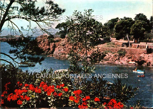 Cartes postales anciennes > CARTES POSTALES > carte postale ancienne > cartes-postales-ancienne.com Provence alpes cote d'azur Var Le Pradet