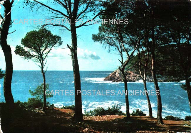 Cartes postales anciennes > CARTES POSTALES > carte postale ancienne > cartes-postales-ancienne.com Provence alpes cote d'azur Var Sanary Sur Mer