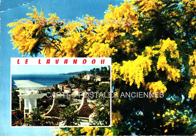 Cartes postales anciennes > CARTES POSTALES > carte postale ancienne > cartes-postales-ancienne.com Provence alpes cote d'azur Var Le Lavandou