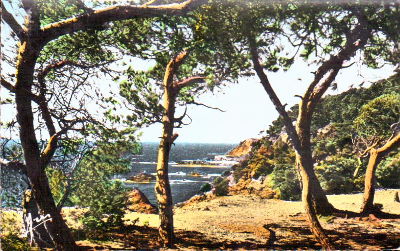 Provence alpes cote d'azur Var Le Brusc