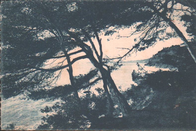 Cartes postales anciennes > CARTES POSTALES > carte postale ancienne > cartes-postales-ancienne.com Provence alpes cote d'azur Var Toulon