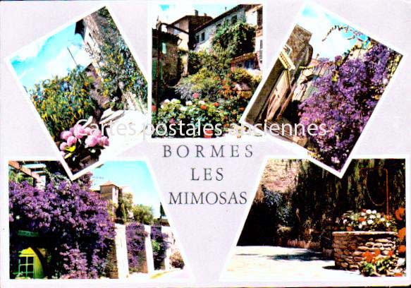 Cartes postales anciennes > CARTES POSTALES > carte postale ancienne > cartes-postales-ancienne.com Provence alpes cote d'azur Var Bormes Les Mimosas