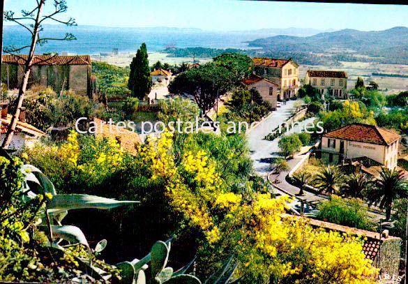 Cartes postales anciennes > CARTES POSTALES > carte postale ancienne > cartes-postales-ancienne.com Provence alpes cote d'azur Var Bormes Les Mimosas