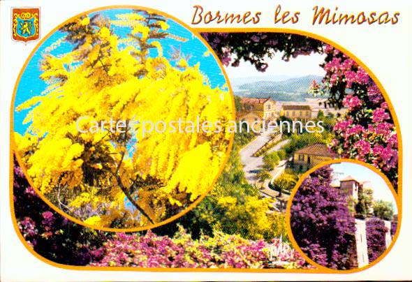 Cartes postales anciennes > CARTES POSTALES > carte postale ancienne > cartes-postales-ancienne.com Provence alpes cote d'azur Var Bormes Les Mimosas