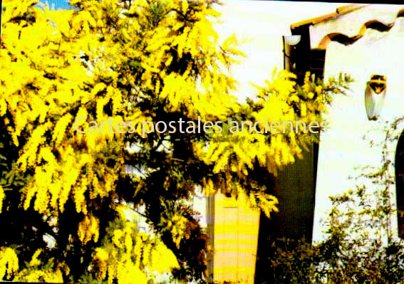 Cartes postales anciennes > CARTES POSTALES > carte postale ancienne > cartes-postales-ancienne.com Provence alpes cote d'azur Var La Valette Du Var