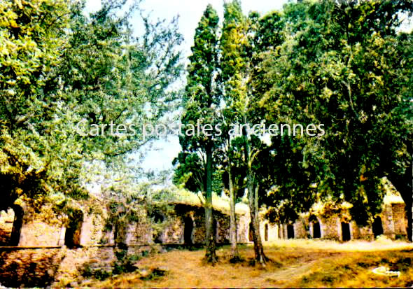 Cartes postales anciennes > CARTES POSTALES > carte postale ancienne > cartes-postales-ancienne.com Provence alpes cote d'azur Var Collobrieres