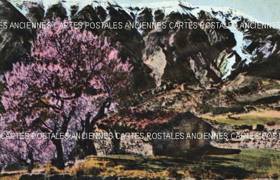 Cartes postales anciennes > CARTES POSTALES > carte postale ancienne > cartes-postales-ancienne.com Provence alpes cote d'azur Bedoin