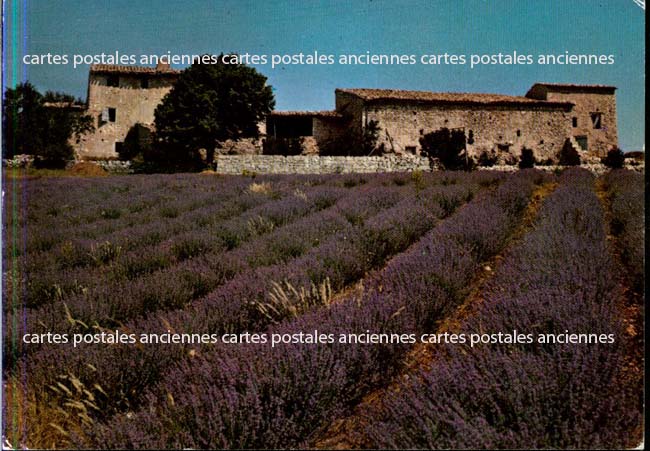Cartes postales anciennes > CARTES POSTALES > carte postale ancienne > cartes-postales-ancienne.com Provence alpes cote d'azur Carpentras