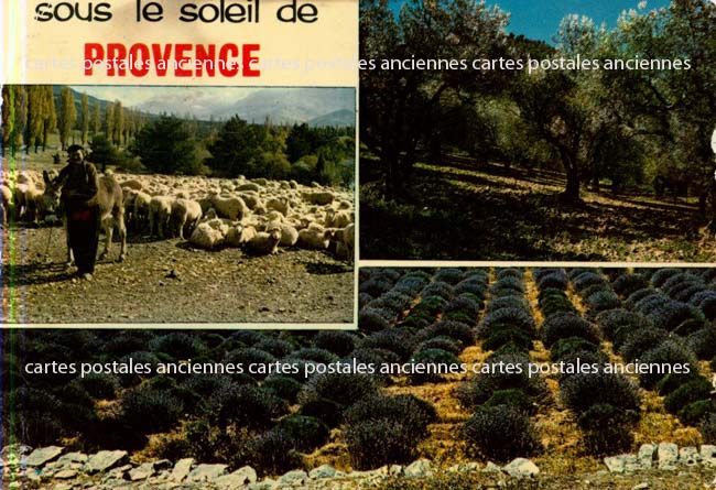 Cartes postales anciennes > CARTES POSTALES > carte postale ancienne > cartes-postales-ancienne.com Provence alpes cote d'azur Pernes Les Fontaines
