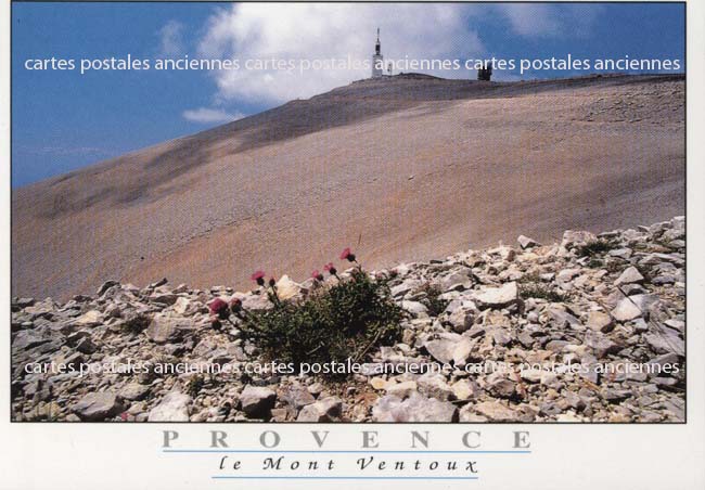 Cartes postales anciennes > CARTES POSTALES > carte postale ancienne > cartes-postales-ancienne.com Provence alpes cote d'azur Malaucene