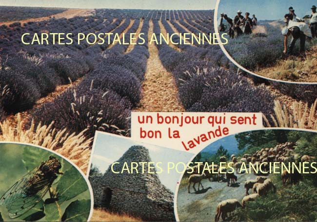 Cartes postales anciennes > CARTES POSTALES > carte postale ancienne > cartes-postales-ancienne.com Provence alpes cote d'azur Gordes