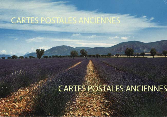 Cartes postales anciennes > CARTES POSTALES > carte postale ancienne > cartes-postales-ancienne.com Provence alpes cote d'azur Gordes