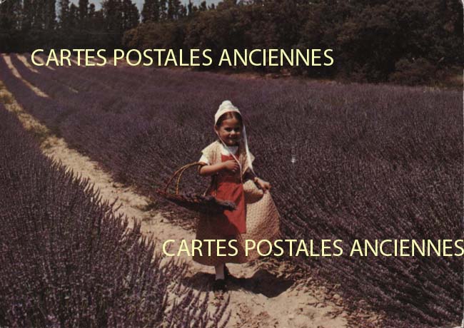 Cartes postales anciennes > CARTES POSTALES > carte postale ancienne > cartes-postales-ancienne.com Provence alpes cote d'azur Gordes