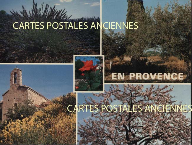 Cartes postales anciennes > CARTES POSTALES > carte postale ancienne > cartes-postales-ancienne.com Provence alpes cote d'azur Vaucluse Malaucene