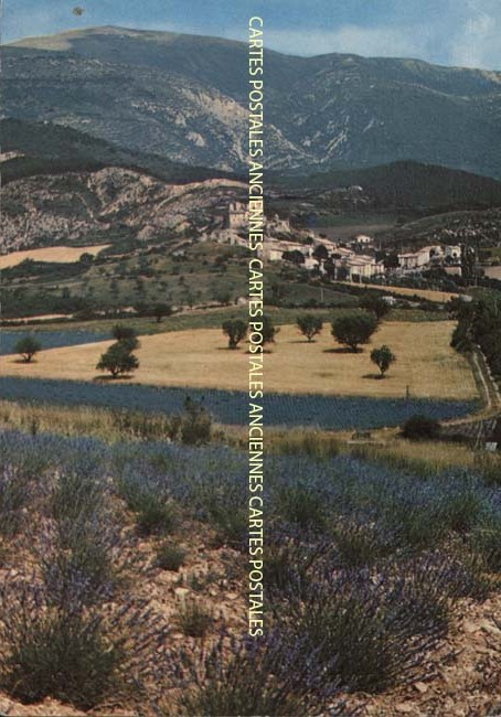Cartes postales anciennes > CARTES POSTALES > carte postale ancienne > cartes-postales-ancienne.com Provence alpes cote d'azur Vaucluse Piolenc