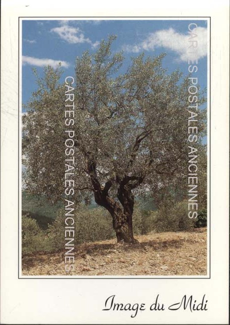Cartes postales anciennes > CARTES POSTALES > carte postale ancienne > cartes-postales-ancienne.com Provence alpes cote d'azur Avignon