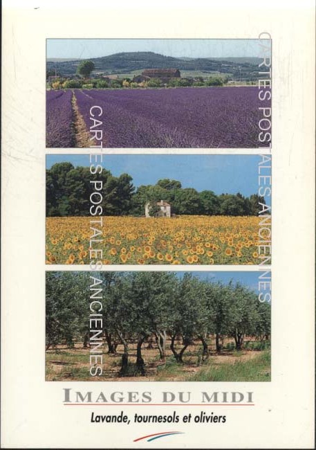 Cartes postales anciennes > CARTES POSTALES > carte postale ancienne > cartes-postales-ancienne.com Provence alpes cote d'azur Avignon