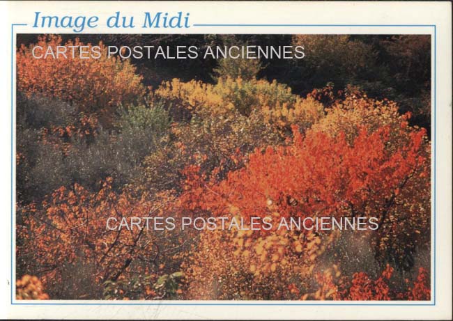 Cartes postales anciennes > CARTES POSTALES > carte postale ancienne > cartes-postales-ancienne.com Provence alpes cote d'azur Avignon