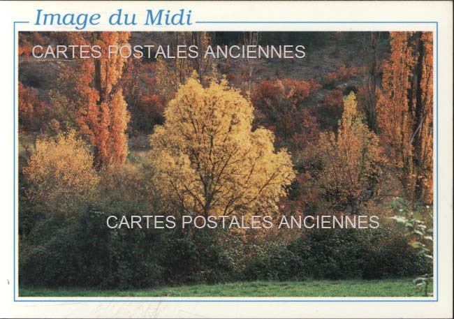 Cartes postales anciennes > CARTES POSTALES > carte postale ancienne > cartes-postales-ancienne.com Provence alpes cote d'azur Avignon