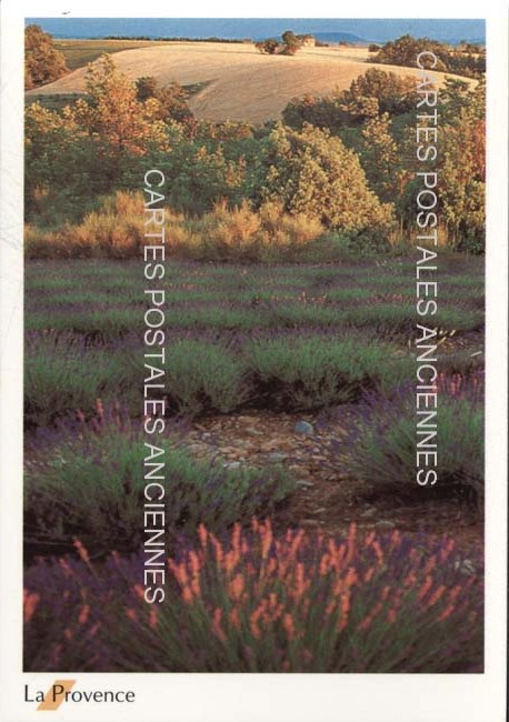 Cartes postales anciennes > CARTES POSTALES > carte postale ancienne > cartes-postales-ancienne.com Provence alpes cote d'azur Avignon