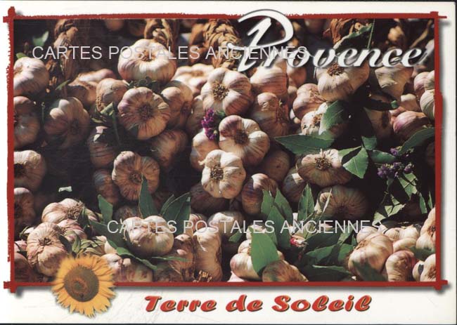Cartes postales anciennes > CARTES POSTALES > carte postale ancienne > cartes-postales-ancienne.com Provence alpes cote d'azur Avignon