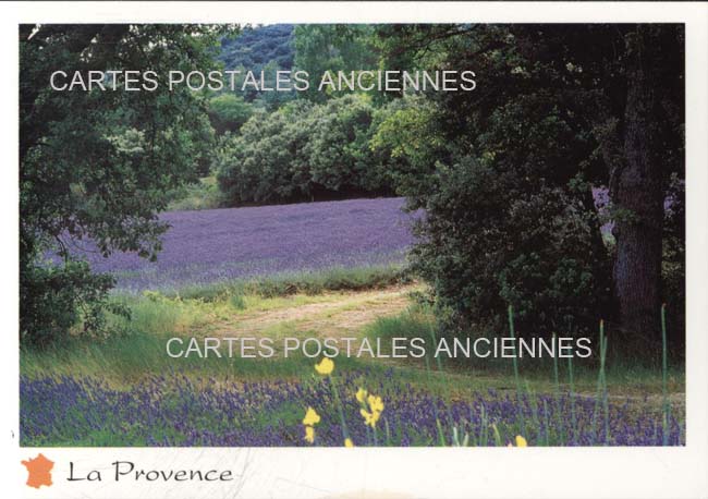 Cartes postales anciennes > CARTES POSTALES > carte postale ancienne > cartes-postales-ancienne.com Provence alpes cote d'azur Avignon